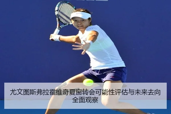 尤文图斯弗拉霍维奇夏窗转会可能性评估与未来去向全面观察